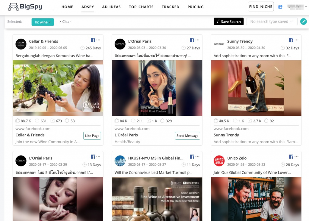 bigspy ads spy